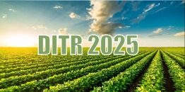 DITR 2025 - Matrix